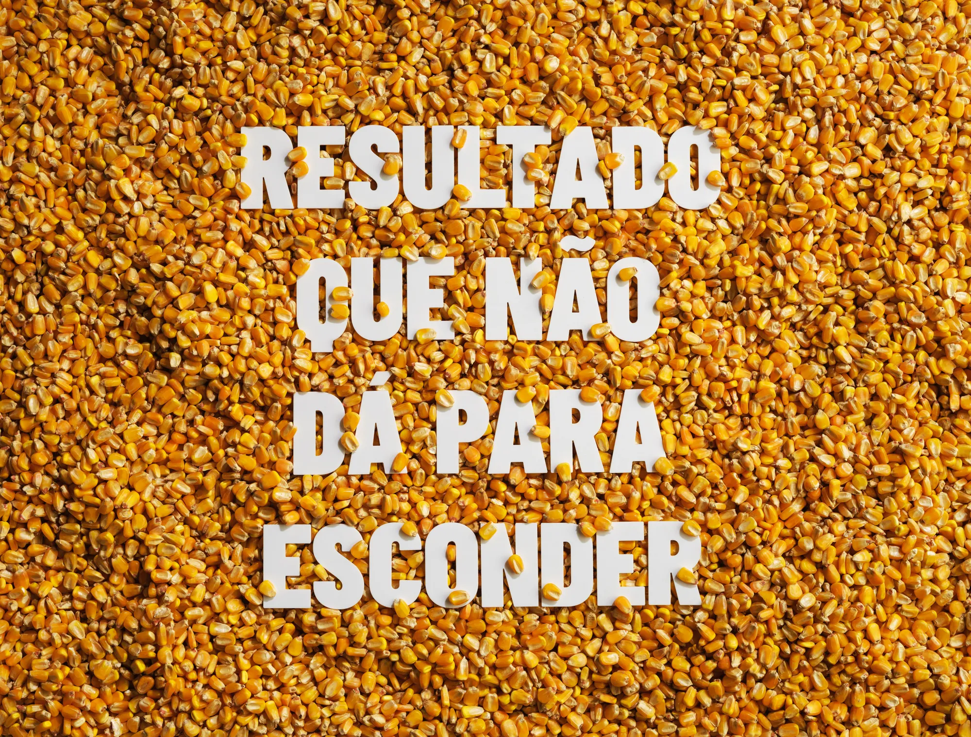 Nutriagro: produção fotográfica de campanha: Campanha publicitária, foto 8 de 8