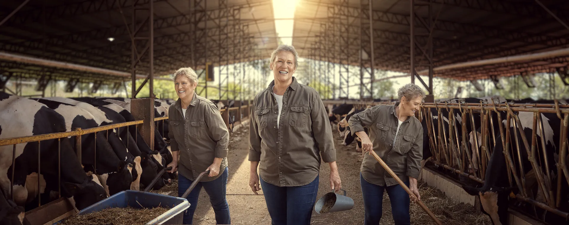 Sicredi: produção fotográfica no Show Rural: Produção fotográfica, foto 1 de 1