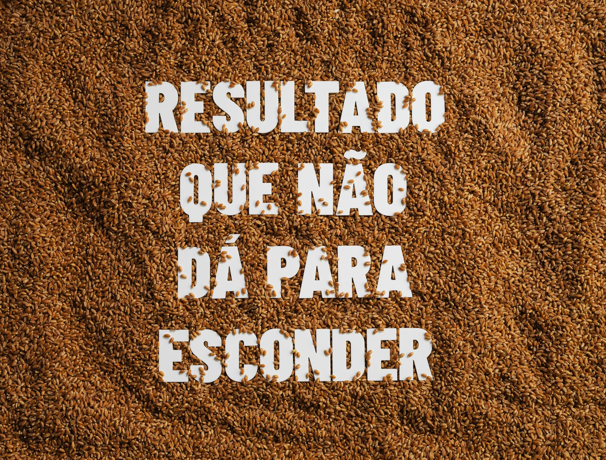 Nutriagro: produção fotográfica de campanha: Campanha publicitária, foto 7 de 8