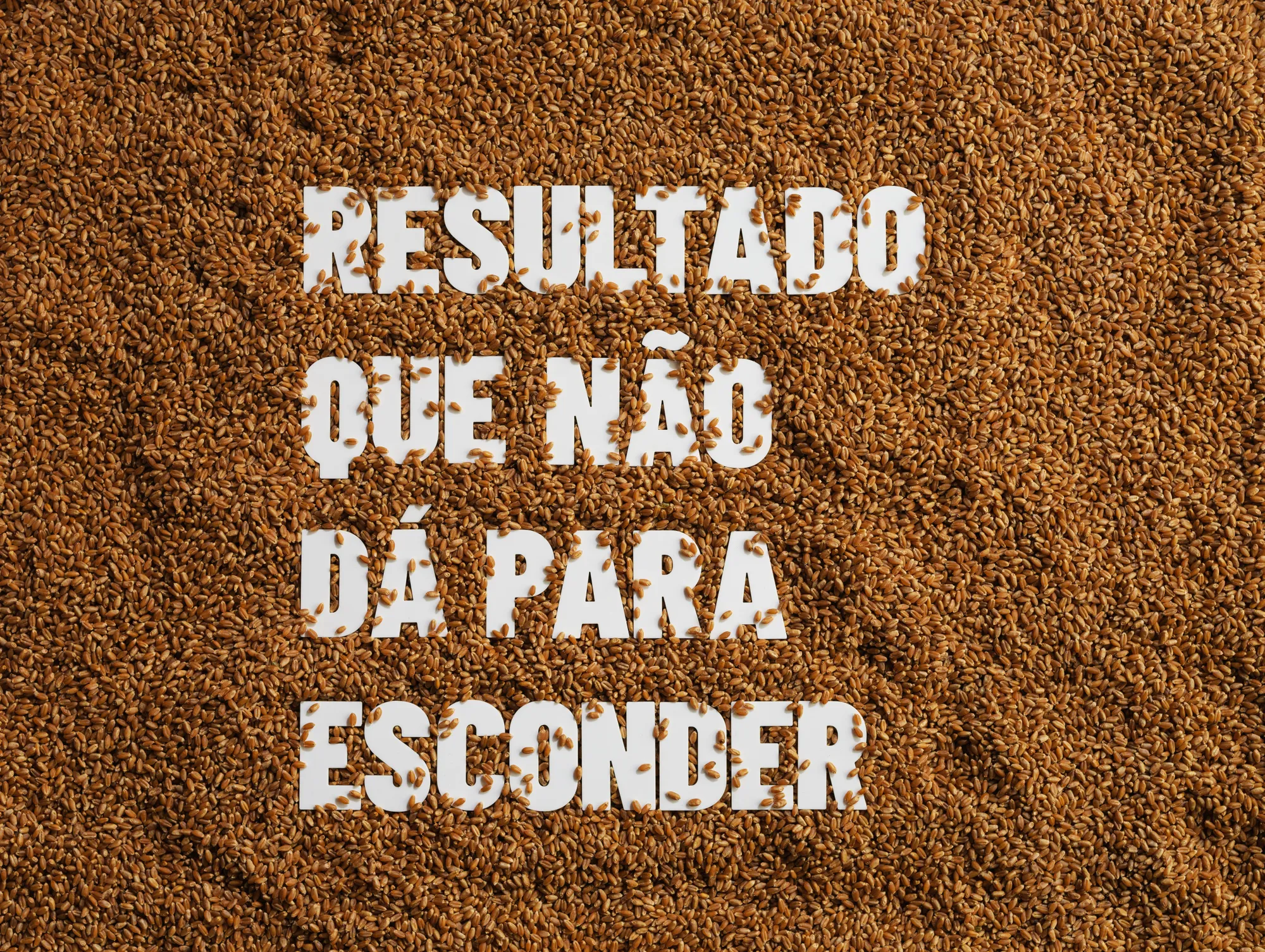 Nutriagro: produção fotográfica de campanha: Campanha publicitária, foto 4 de 8