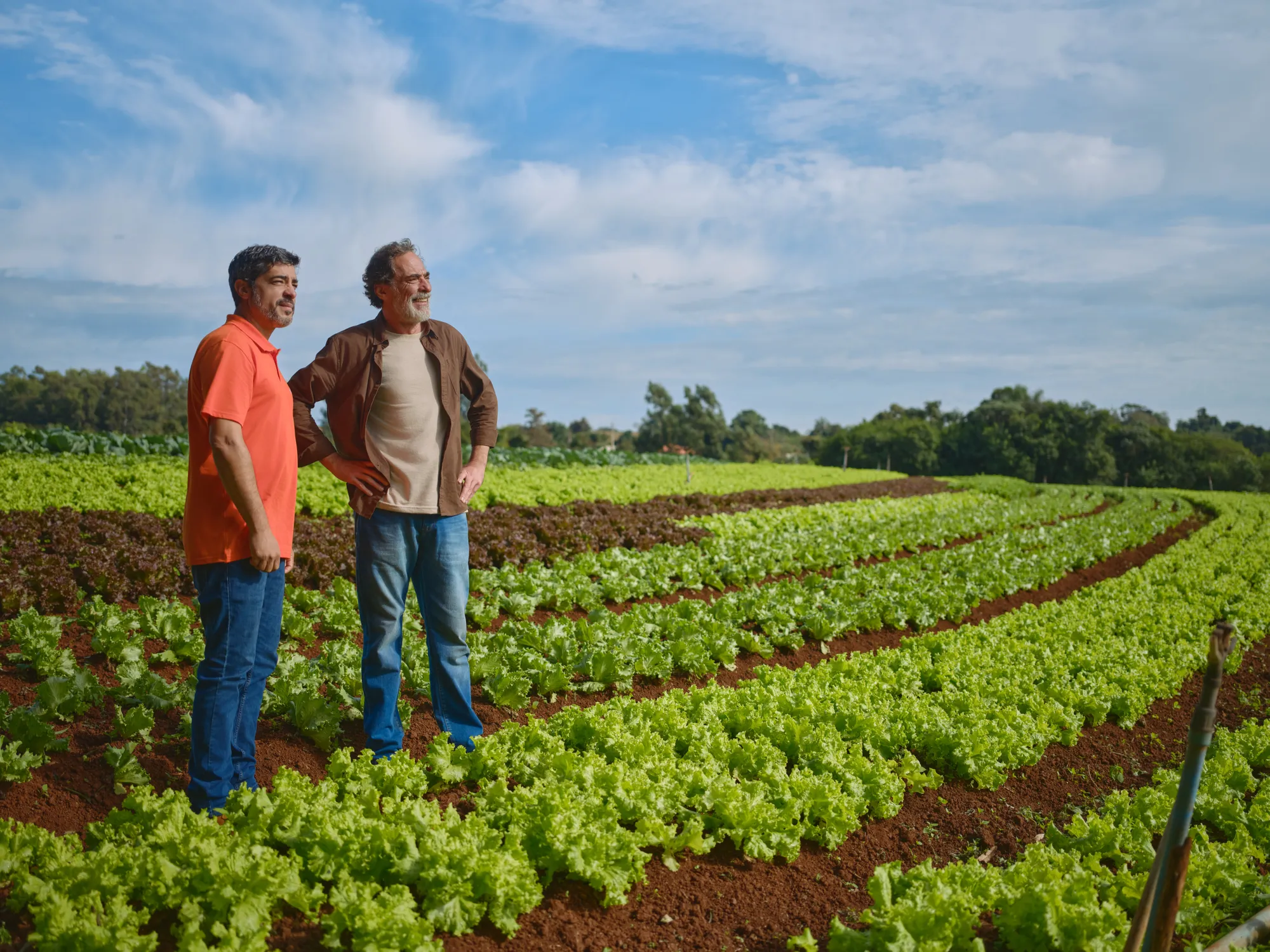 Cresol: campanhas no agronegócio: Campanha publicitária, foto 35 de 37