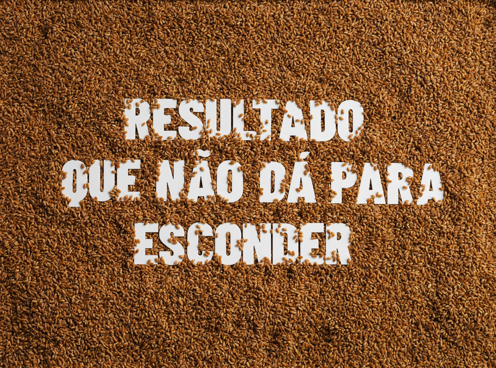 Nutriagro: produção fotográfica de campanha: Campanha publicitária, foto 1 de 1