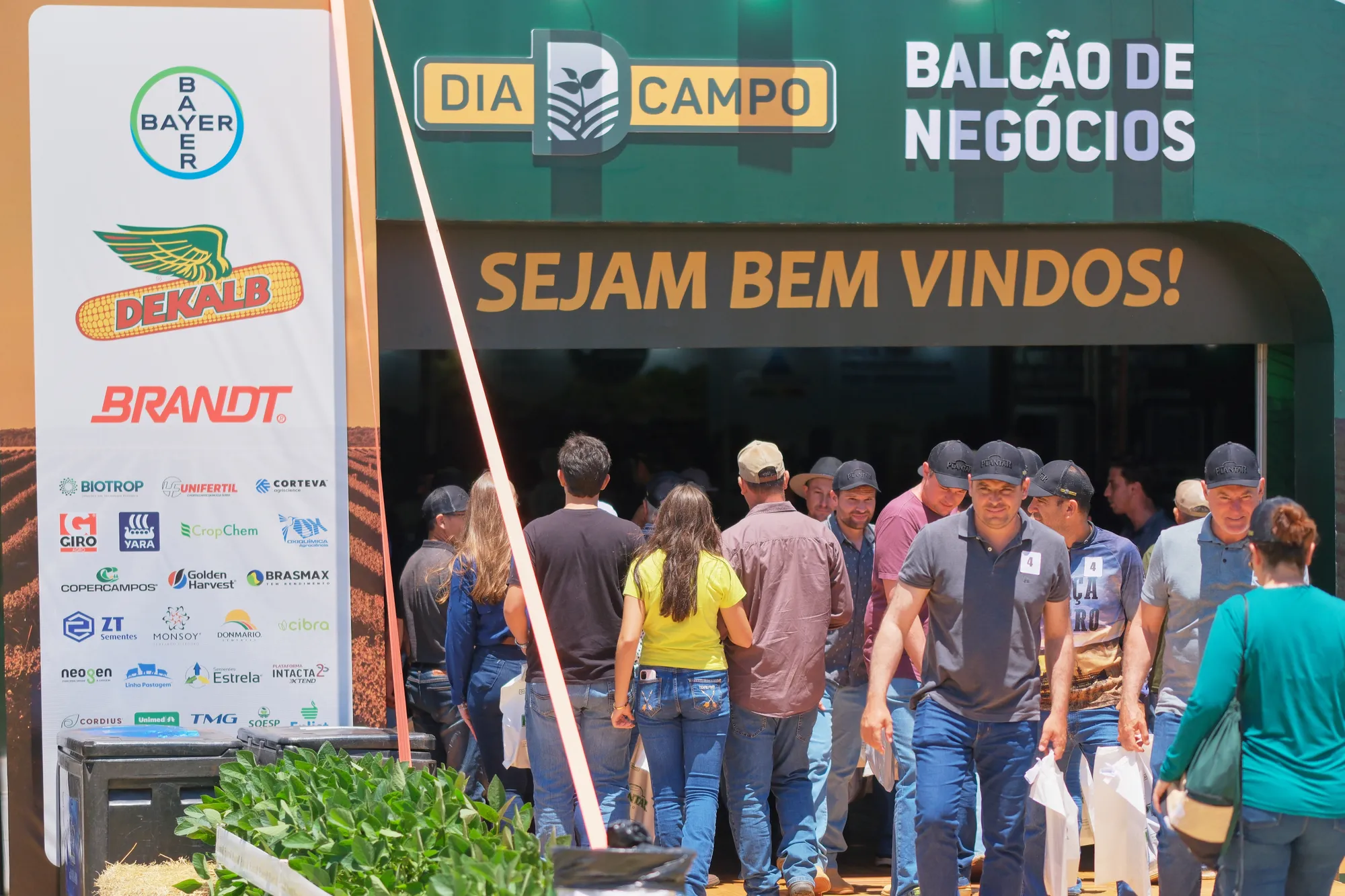 Plantar: cobertura de dia de campo: Evento corporativo, foto 19 de 19