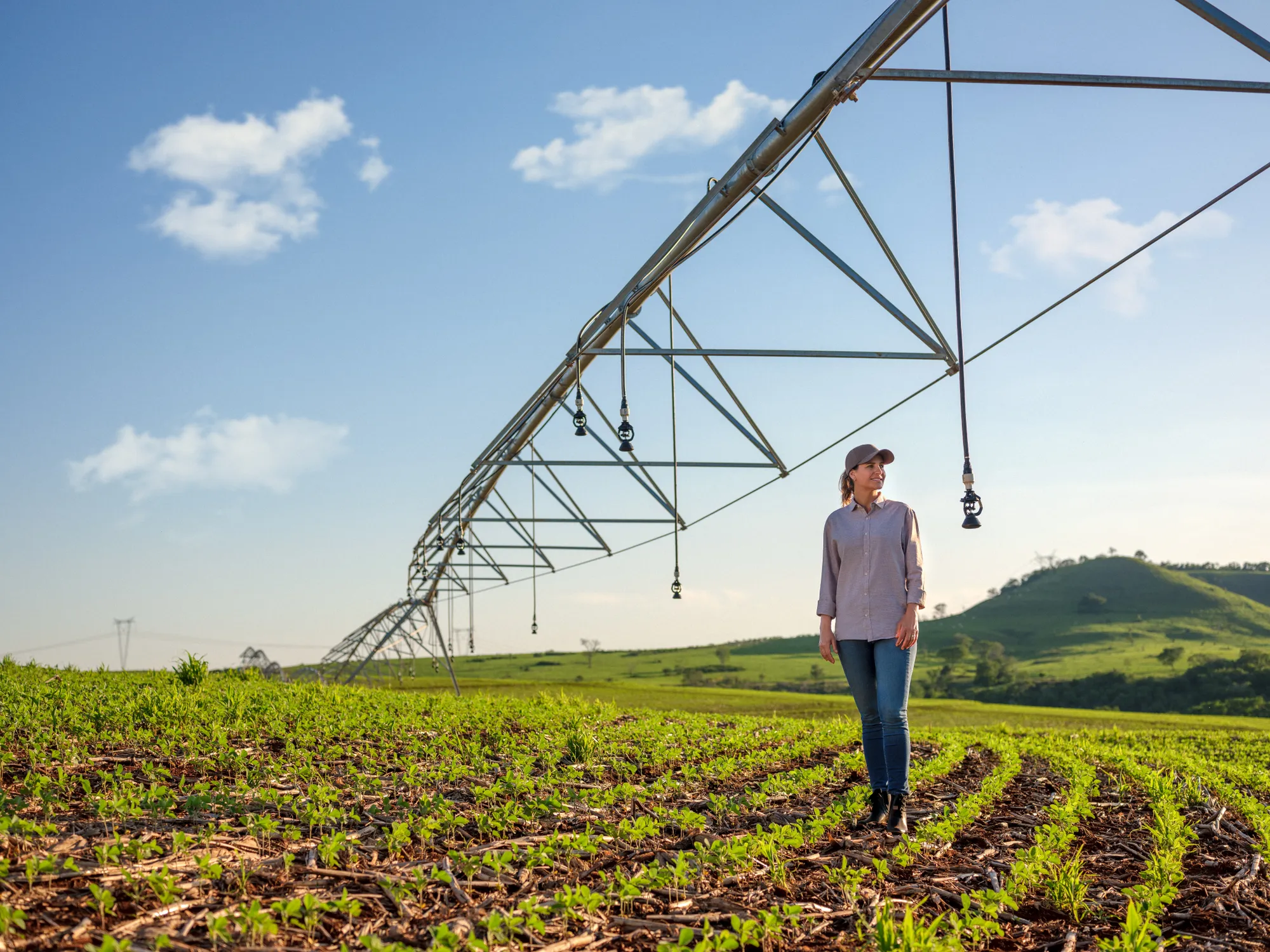 Sicredi: banco de imagens no agro: Banco de imagens, foto 17 de 22