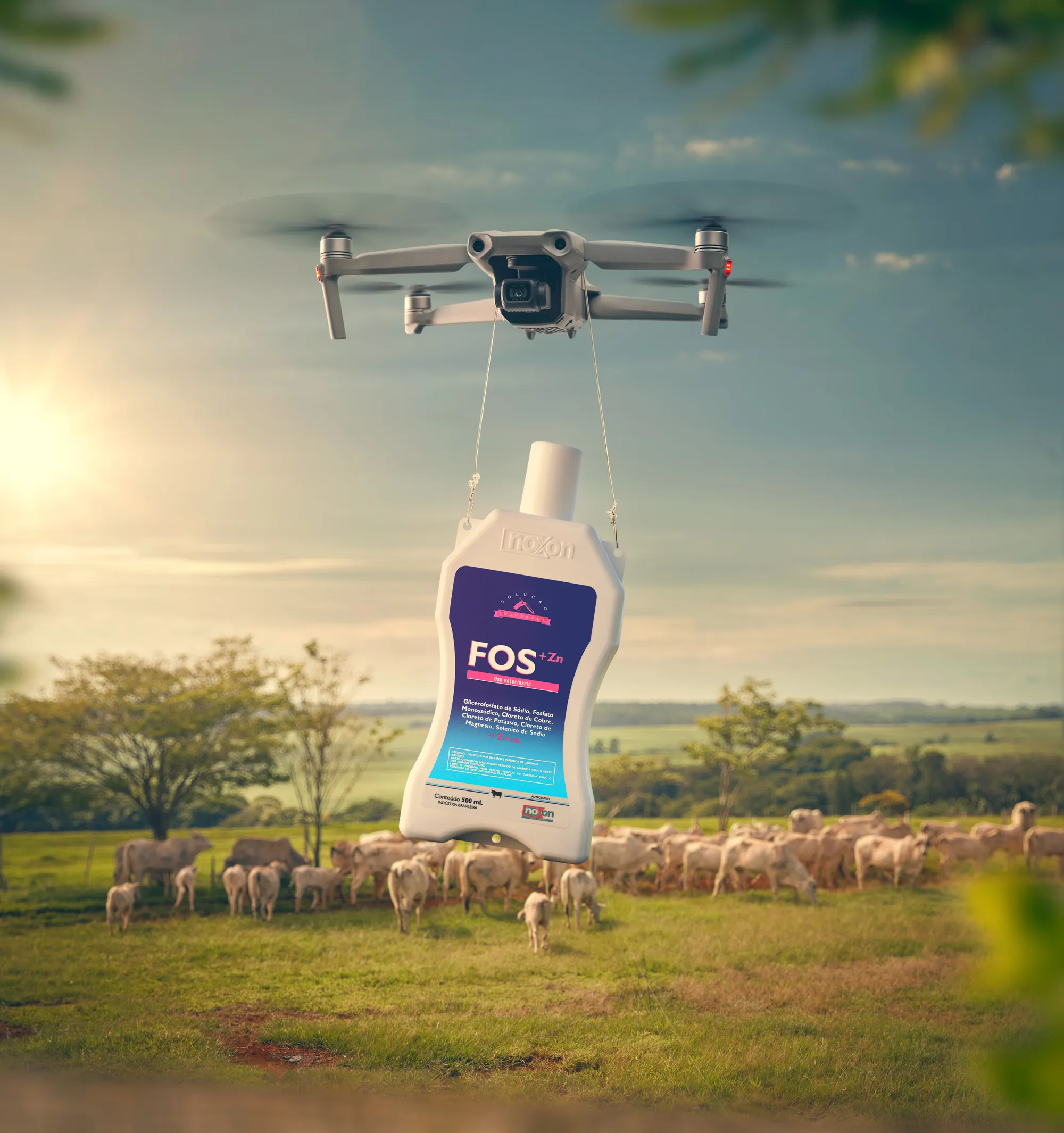 Noxon: produção fotográfica de campanha: Campanha publicitária, foto 2 de 6