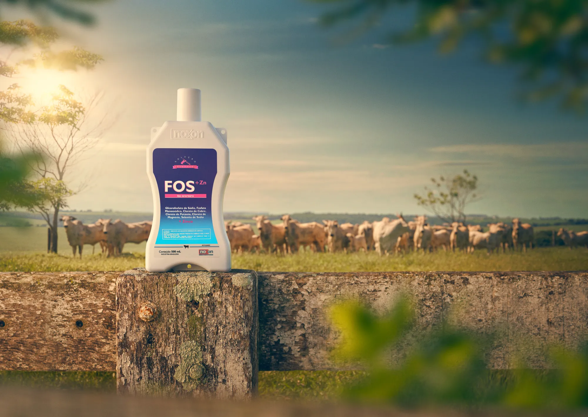 Noxon: produção fotográfica de campanha: Campanha publicitária, foto 5 de 6