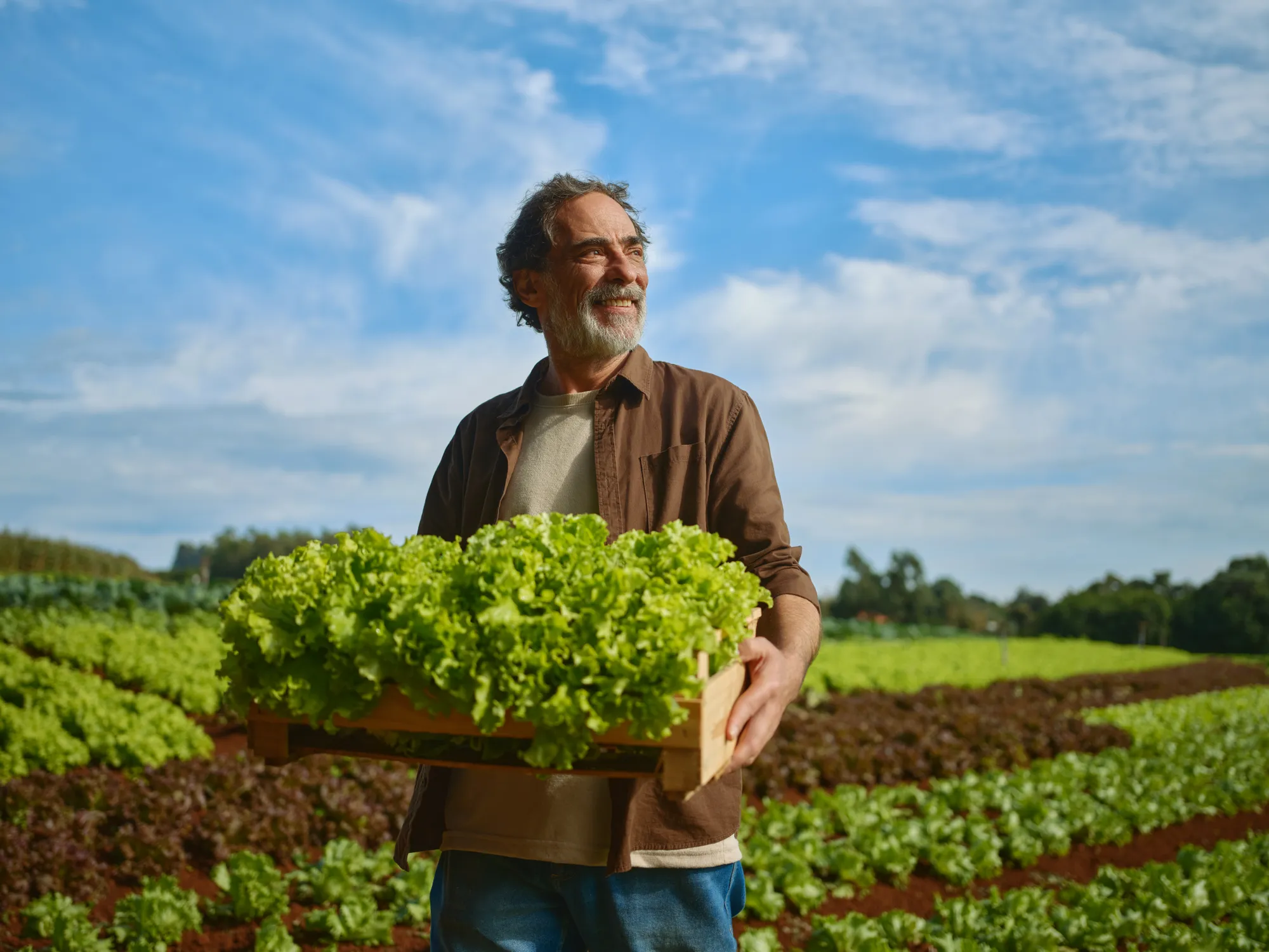 Cresol: campanhas no agronegócio: Campanha publicitária, foto 36 de 37
