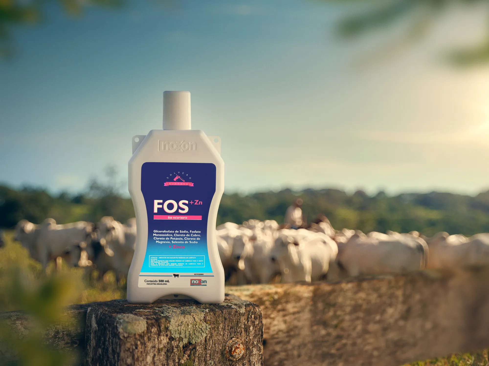 Noxon: produção fotográfica de campanha: Campanha publicitária, foto 6 de 6