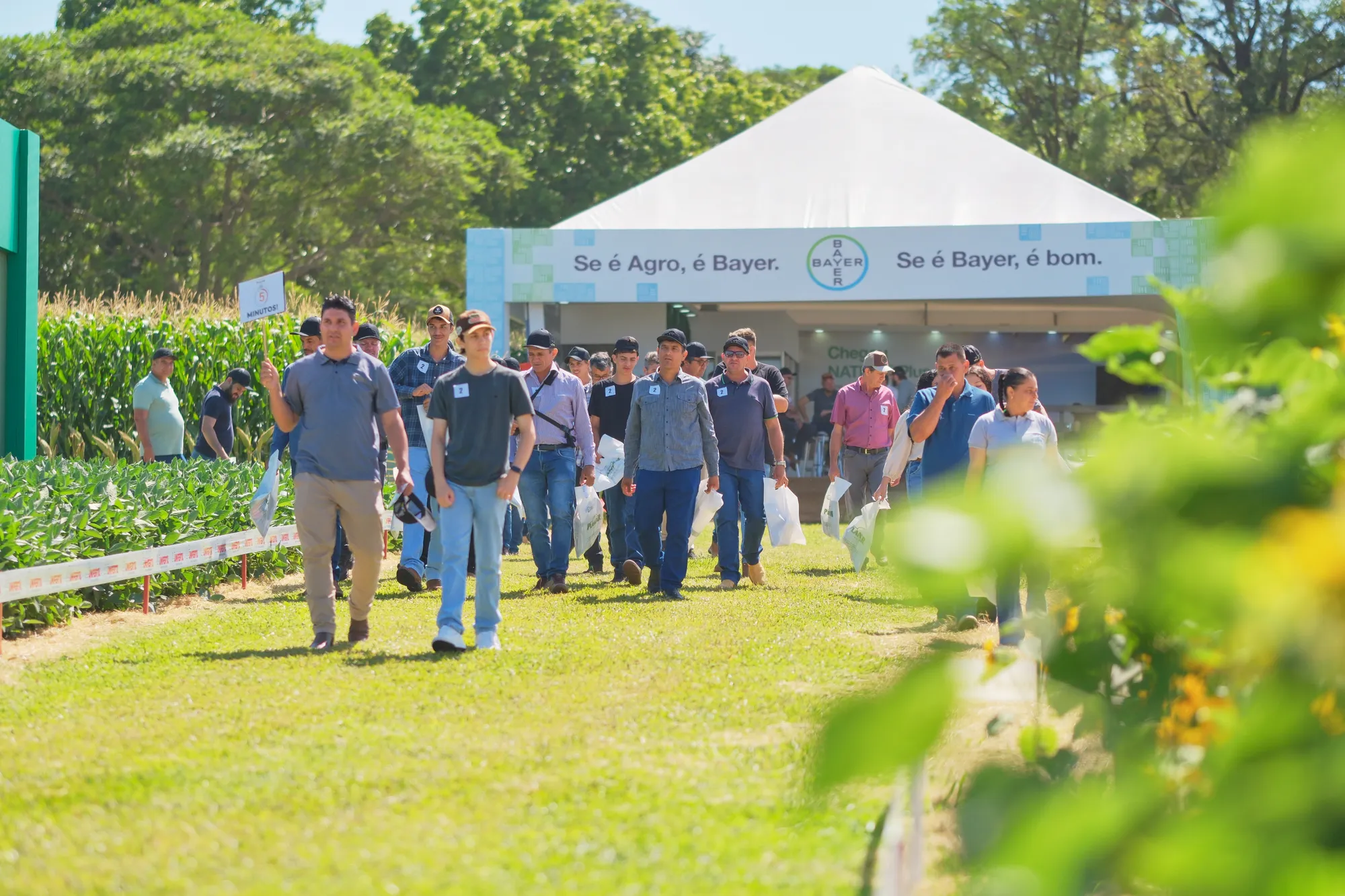 Plantar: cobertura de dia de campo: Evento corporativo, foto 13 de 19