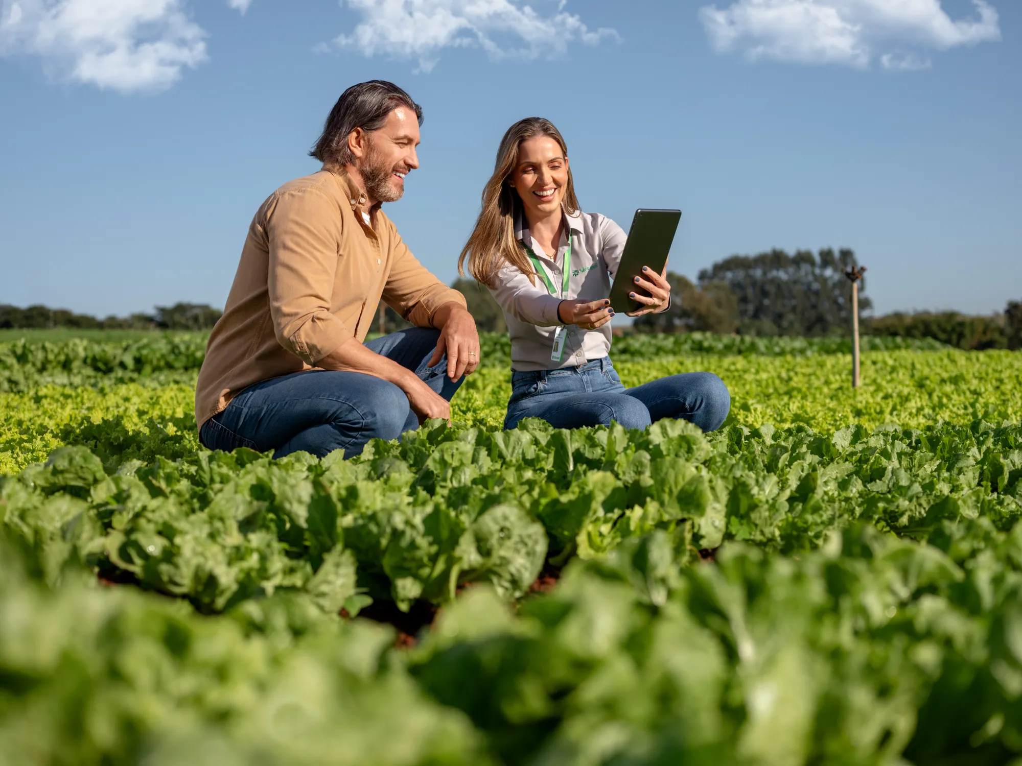 Sicredi: banco de imagens no agro: Banco de imagens, foto 1 de 1