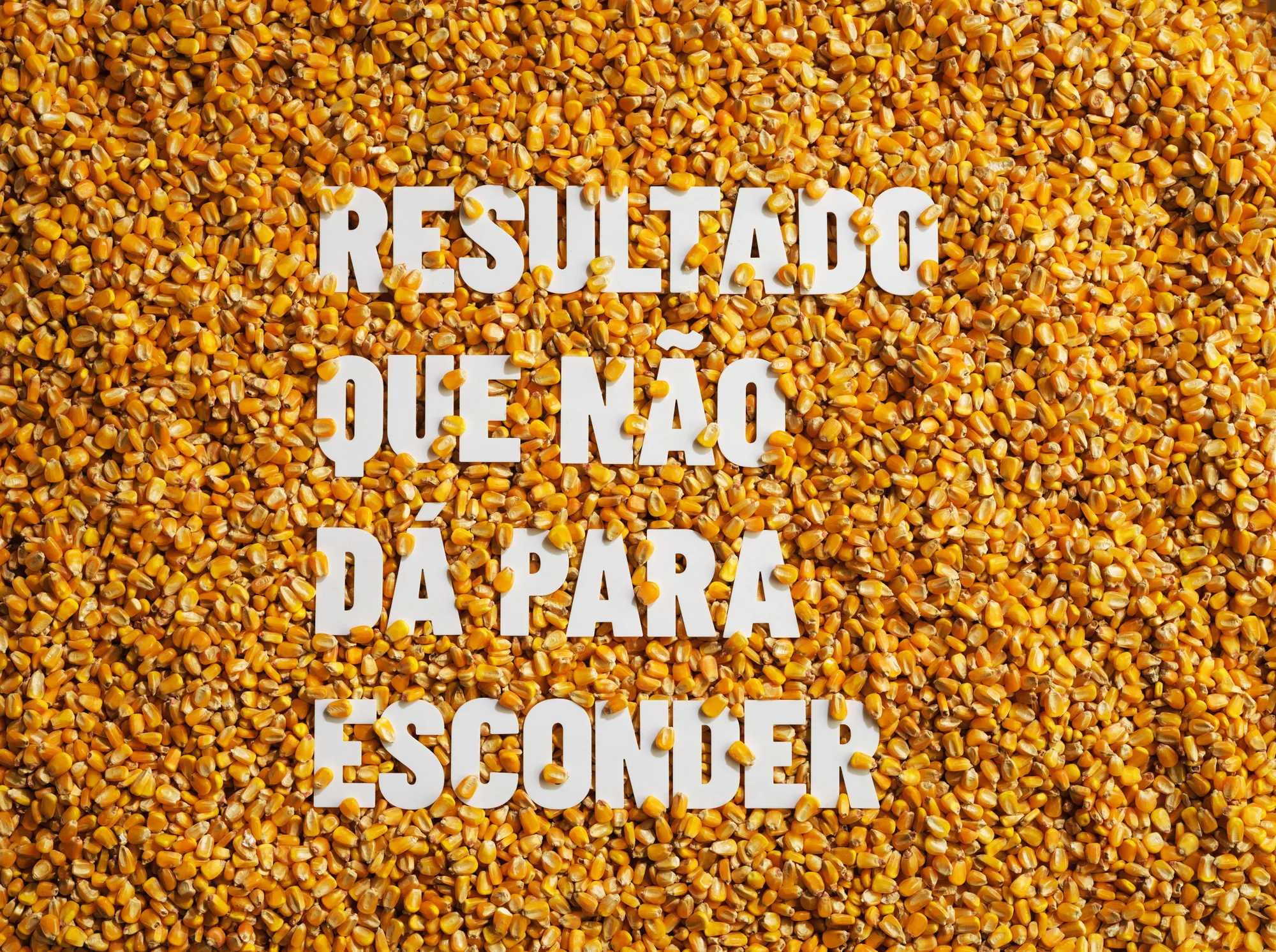 Nutriagro: produção fotográfica de campanha: Campanha publicitária, foto 5 de 8